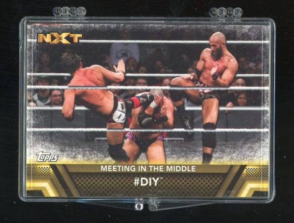 2017 Topps WWE Then Now Forever Finishers and Signature Moves 50 Card Set